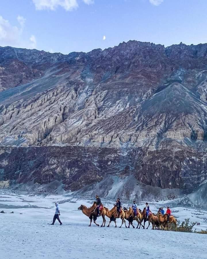 Hotel Nubra Residency Charāsa Extérieur photo
